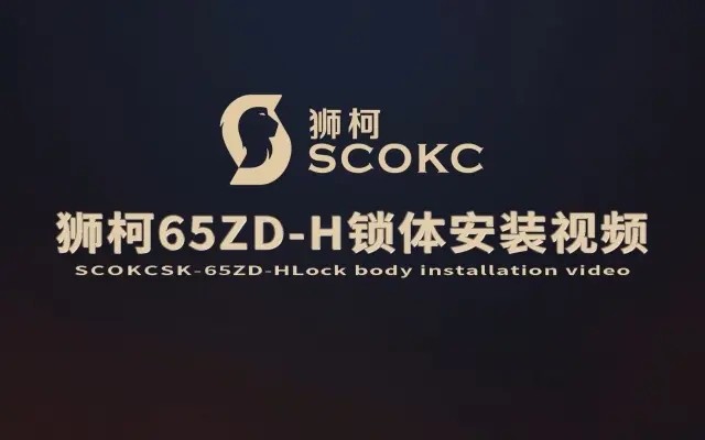 狮柯65ZD-H锁体安装教程视频