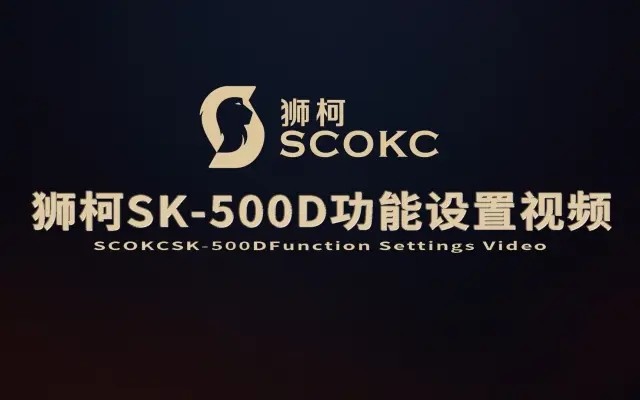 狮柯SK-500D智能锁功能设置视频