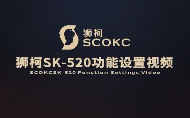 狮柯SK-520智能锁功能设置视频