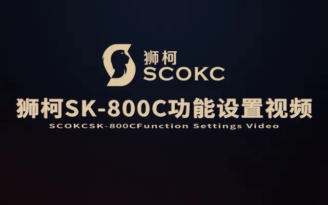 狮柯SK-800C智能锁功能设置视频