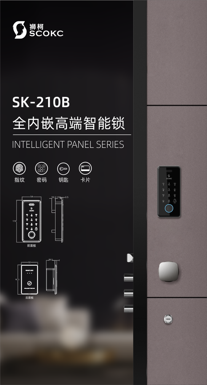 SK210B | 全内嵌高端智能锁