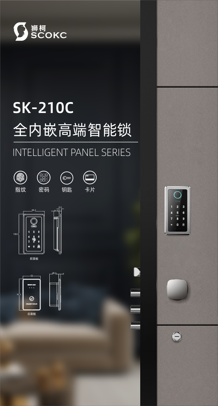 SK210C | 全内嵌高端智能锁
